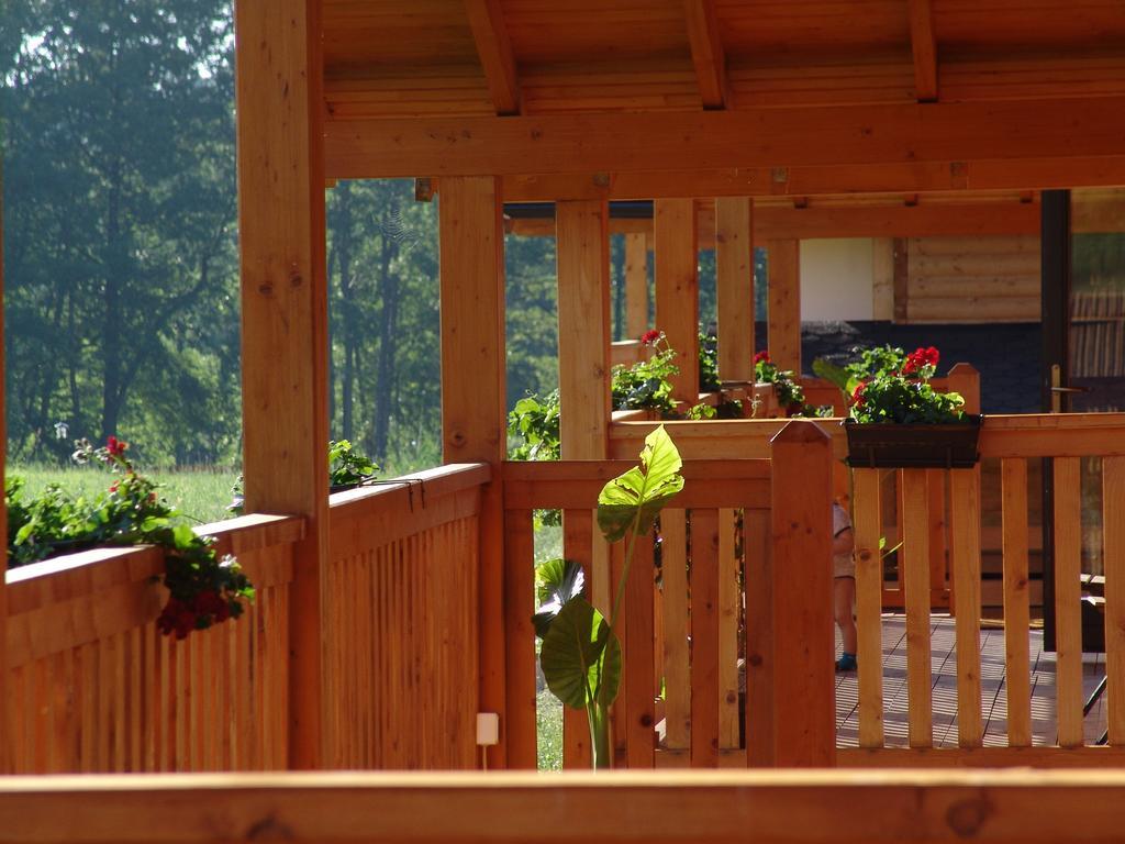 Вилла Complex Agroturistic Livada De Nuci Байя-де-Фьер Экстерьер фото