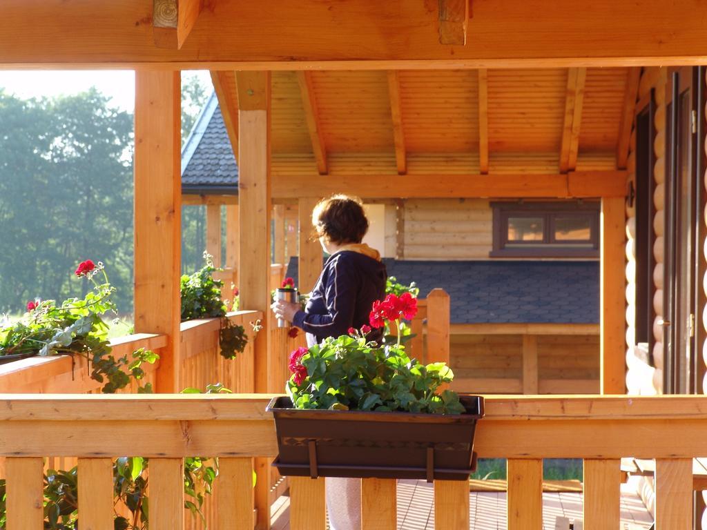 Вилла Complex Agroturistic Livada De Nuci Байя-де-Фьер Экстерьер фото