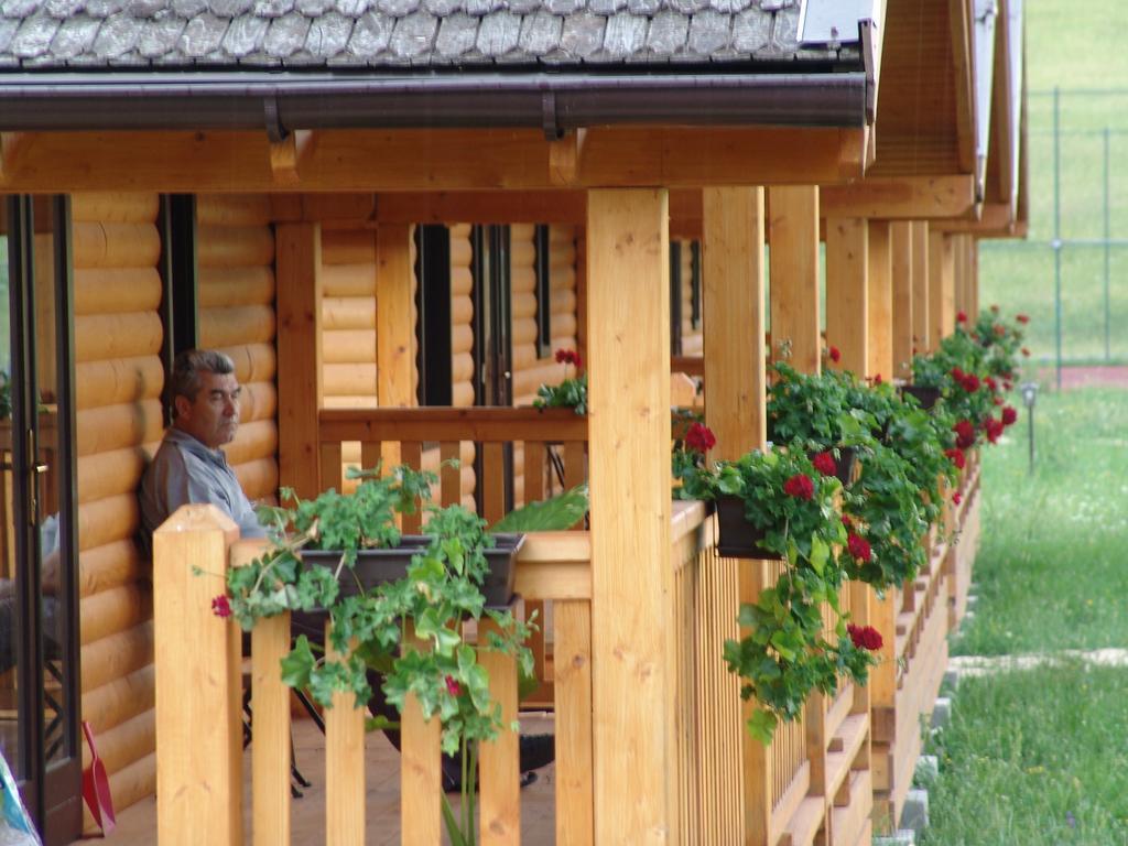 Вилла Complex Agroturistic Livada De Nuci Байя-де-Фьер Экстерьер фото