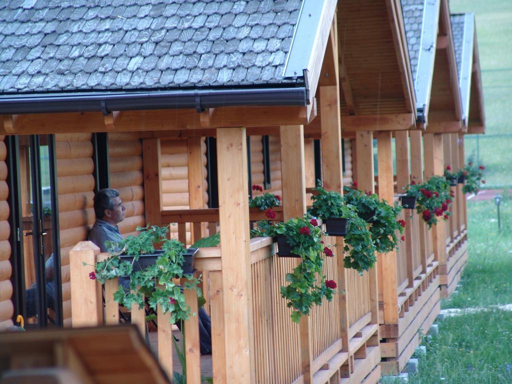 Вилла Complex Agroturistic Livada De Nuci Байя-де-Фьер Экстерьер фото