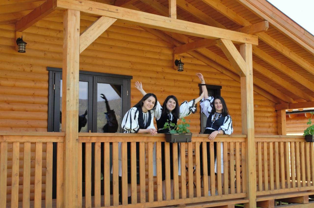 Вилла Complex Agroturistic Livada De Nuci Байя-де-Фьер Экстерьер фото